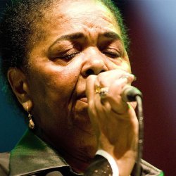Looking <br> for Cesaria