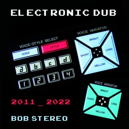 Electronic <br> Dub