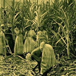 La Jamaïque <br> avant Bob Marley