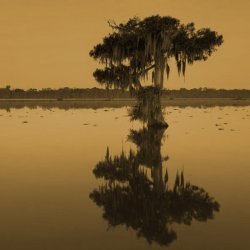 Une traversée <br> du deep south américain